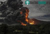 Ảnh Những hình ảnh môi trường đáng nhớ trong năm 2014