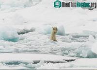 Ảnh Chùm ảnh đẹp dự thi National Geographic Photo Contest 2014