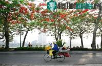 Ảnh Bộ ảnh tuyệt đẹp về "Hà Nội - Những gánh hàng rong"