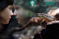 Ảnh Ảnh đẹp thể loại Khoảnh khắc Cuộc sống của National Geographic