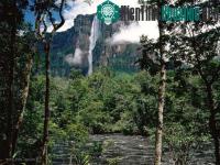 Ảnh Rừng tự nhiên Amazon đẹp đến "mê hồn"