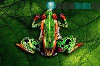 Ảnh Những tuyệt tác đến từ body art