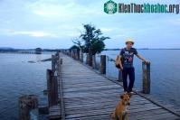 Ảnh Xem bộ ảnh này bạn sẽ thấy Việt Nam mình có những mùa lúa, mùa hoa thật đẹp!