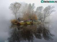 Ảnh National Geographic top 20 Photo of The Day năm 2015