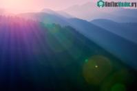Ảnh Những bức ảnh Lens Flare tạo nên hiệu ứng ánh sáng thú vị