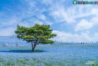 Ảnh 10 ảnh du lịch ấn tượng của National Geographic