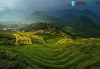 Ảnh 10 ảnh đẹp Việt Nam được đánh giá cao tại cuộc thi ảnh 2015