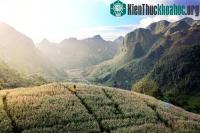 Ảnh Hà Giang rực rỡ mùa hoa tam giác mạch