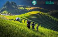 Ảnh Sững sờ trước những ruộng bậc thang đẹp nhất trên khắp thế giới