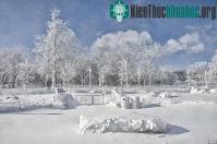 Ảnh Kinh ngạc dòng thác hóa băng trong đợt lạnh kỷ lục