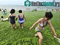 Ảnh Những hình ảnh môi trường ấn tượng năm 2013