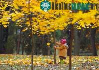 Ảnh Sắc màu mùa thu khắp thế giới