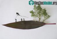 Ảnh Biến lá cây thành sáng tạo "không ai ngờ tới"