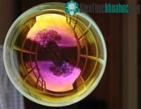 Ảnh Ảo ảnh kinh ngạc từ bong bóng xà phòng