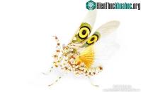 Ảnh Cận cảnh sát thủ đẹp như tiên