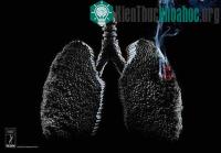 Ảnh Hình ảnh về sự tàn phá khủng khiếp của thuốc lá