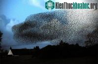 Ảnh Kinh hoàng "cơn bão" đen kịt bầu trời nước Anh