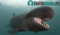 Ảnh Kỳ lạ "thuỷ quái" sát thủ khổng lồ biết cười như người