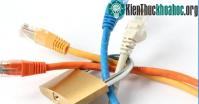 Ảnh Nguyên nhân và cách khắc phục máy tính không vào được mạng