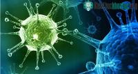 Ảnh IBM thành công trong việc tạo ra một đại phân tử có thể tiêu diệt mọi loại virus