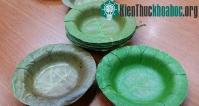 Ảnh Phát minh ra bát làm từ lá cây, thay thế cho hộp đựng thức ăn bằng xốp độc hại