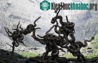 Ảnh Chùm ảnh muôn loài trong thảm họa môi trường