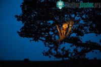 Ảnh Top 10 bức ảnh đẹp nhất trên National Geographic năm 2011