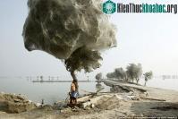 Ảnh Những bức ảnh tuyệt đẹp trong cuộc thi National Geographic