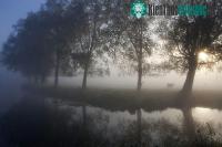Ảnh Ảnh đẹp: Cá hồi ngược dòng đẻ trứng