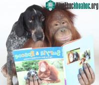 Ảnh Chó làm bạn với đười ươi