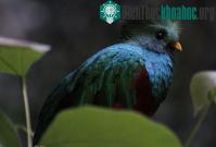 Ảnh Ảnh đẹp: Động vật đùa nghịch trong rừng