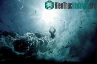 Ảnh Thiên nhiên vòng quanh thế giới qua ống kính National Geographic