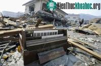 Ảnh Toàn cảnh về thảm họa tại Nhật