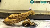 Ảnh Video: Phản ứng hóa học "con rắn của Pharaoh"