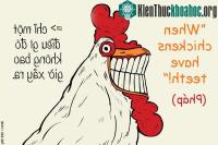 Ảnh "Cười nghiêng ngả" với cụm thành ngữ các nước bằng tiếng Anh