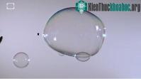Ảnh Video: Lý do bong bóng xà phòng không vỡ khi chọc bằng tay
