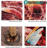 Ảnh Tổng hợp tin tức hay nhất tuần 01/04/2015