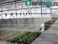 Ảnh Khánh thành khu nhà kính, nhà lưới hiện đại nhất ở khu vực phía Nam