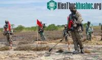 Ảnh Xây dựng một trung tâm khử độc dioxin tại Đà Nẵng