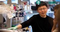Ảnh Feng Zhang - một trong những khoa học gia xuất sắc nhất của thế giới đương thời