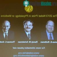 Ảnh Công bố người đoạt Giải Nobel Y học năm 2013