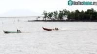 Ảnh Vườn quốc gia Mũi Cà Mau được công nhận là khu Ramsar của Thế giới