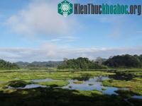 Ảnh Rừng Cát Tiên khó được công nhận là Di sản thiên nhiên thế giới