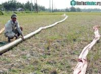 Ảnh 51 quốc gia chung tay hợp tác vì nguồn nước