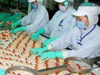 Ảnh Vườn ươm công nghệ Hàn Quốc ở Đồng bằng Sông Cửu Long chính thức khởi động