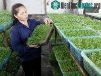 Ảnh Việt Nam - Đức trao đổi kinh nghiệm trong công nghệ sinh học