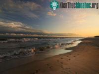 Ảnh Hội nghị quốc tế về chủ đề làm sạch nước biển Baltic