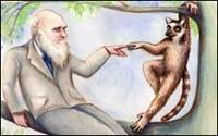 Ảnh Charles Darwin và công trình “Nguồn Gốc của các Chủng Loại”