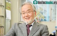 Ảnh Nghiên cứu về cơ chế tự hủy và tái tạo của tế bào được vinh danh tại Nobel Y sinh 2016