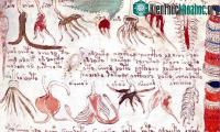Ảnh Bán một trong những cuốn sách chứa nhiều điều bí ẩn nhất thế giới